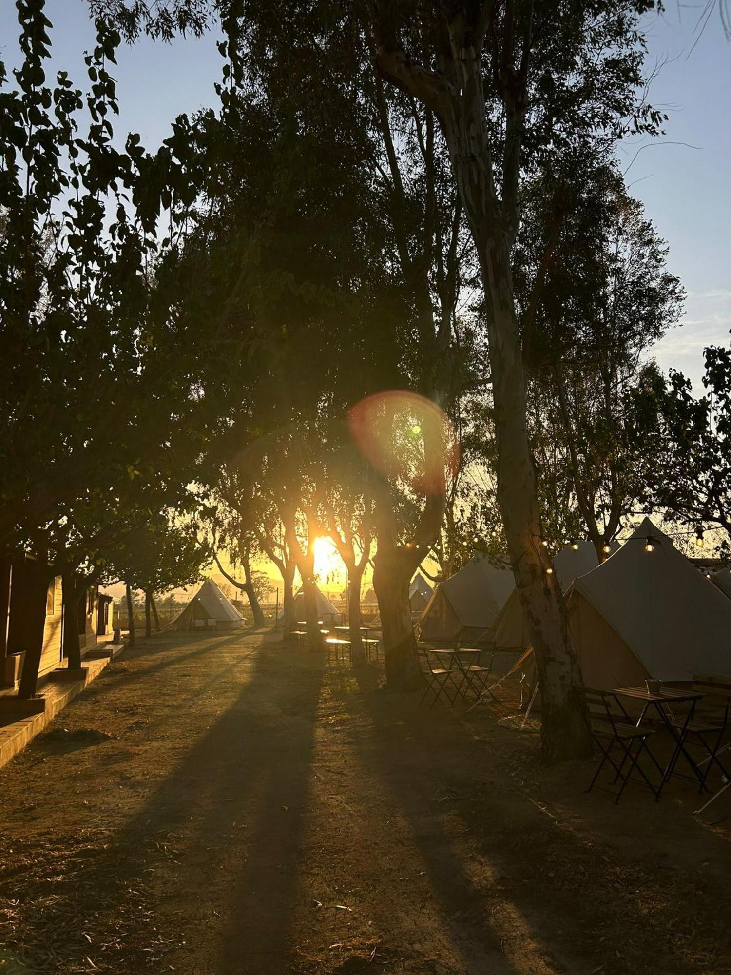 Camping Delta Natura La Tancada Amposta Eksteriør billede