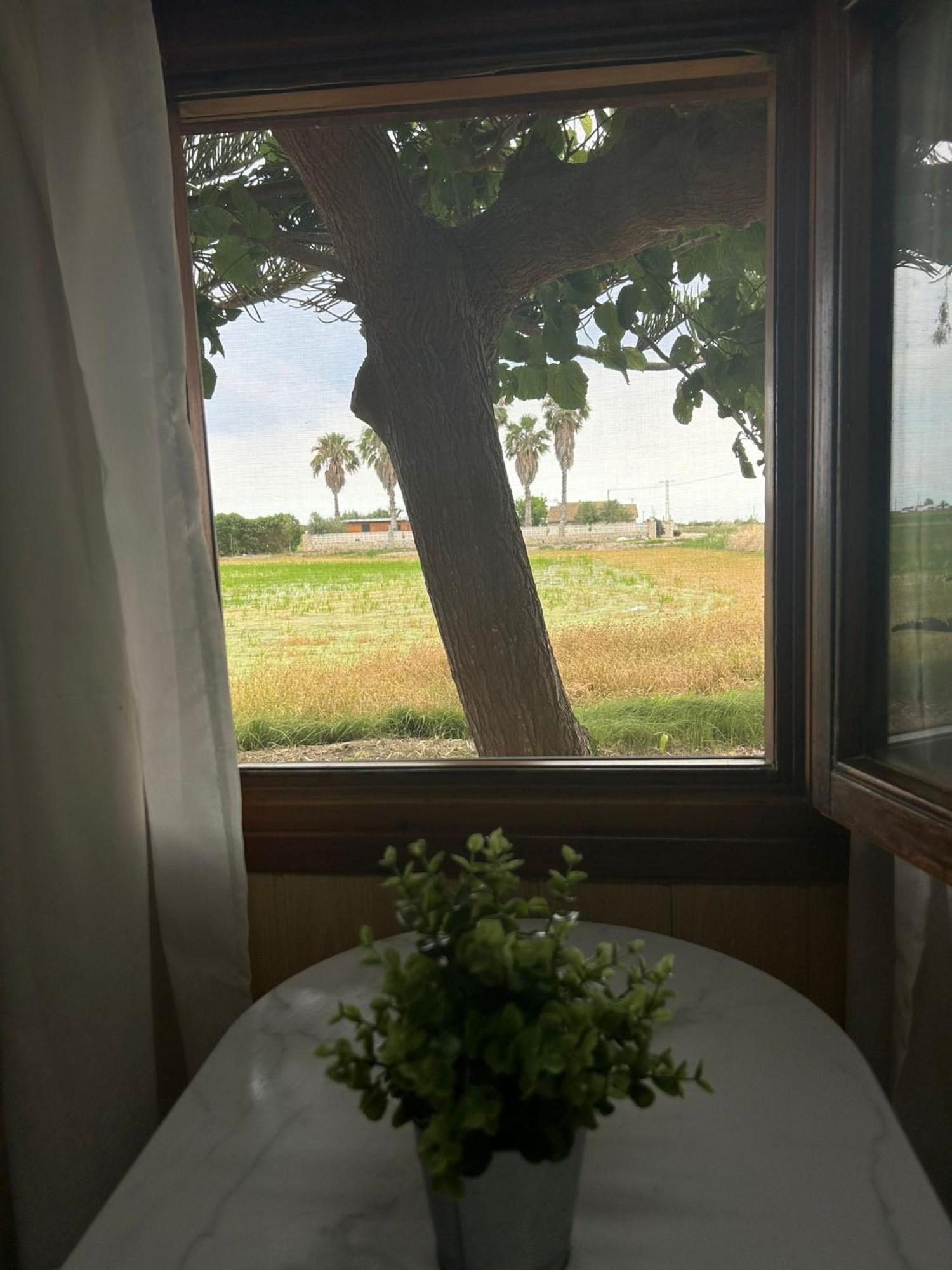 Camping Delta Natura La Tancada Amposta Eksteriør billede